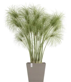 Ecopots Kunststoff-Topf Rotterdam mit Wassersystem, quadratisch