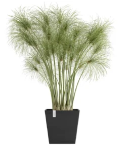 Ecopots Kunststoff-Topf Rotterdam mit Wassersystem, quadratisch