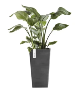 Ecopots Kunststoff-Topf Rotterdam Hoch, quadratisch