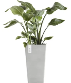Ecopots Kunststoff-Topf Rotterdam Hoch, quadratisch