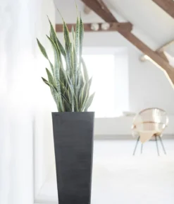 Ecopots Kunststoff-Topf Rotterdam Hoch, quadratisch
