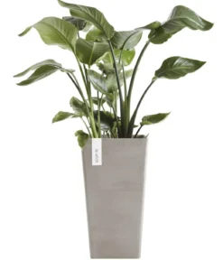 Ecopots Kunststoff-Topf Rotterdam Hoch, quadratisch
