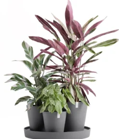 Ecopots Kunststoff-Topf-Set Dubai mit Untersetzer, 4-teilig