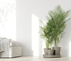 Ecopots Kunststoff-Topf-Set Dubai mit Untersetzer, 4-teilig