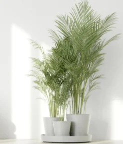 Ecopots Kunststoff-Topf-Set Dubai mit Untersetzer, 4-teilig