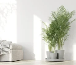 Ecopots Kunststoff-Topf-Set Dubai mit Untersetzer, 4-teilig