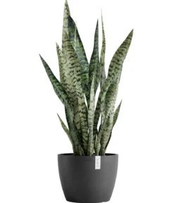 Ecopots Kunststoff-Topf Stockholm, rund
