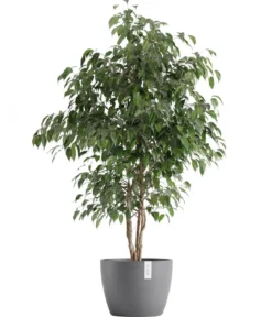 Ecopots Kunststoff-Topf Stockholm, rund