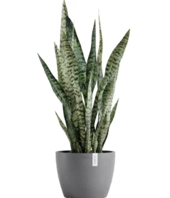 Ecopots Kunststoff-Topf Stockholm, rund