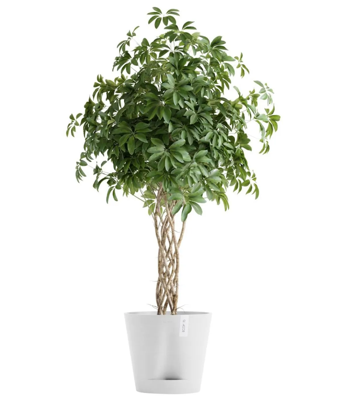 Ecopots Kunststoff-Topf Venice 2, rund