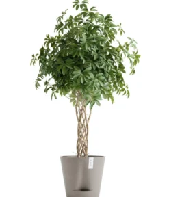 Ecopots Kunststoff-Topf Venice 2, rund