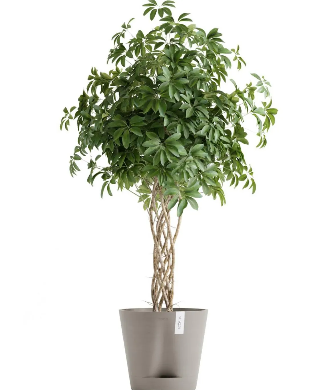 Ecopots Kunststoff-Topf Venice 2, rund