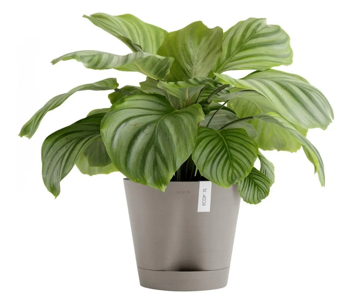Ecopots Kunststoff-Topf Venice 2, rund