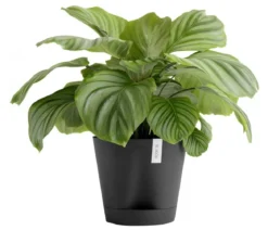 Ecopots Kunststoff-Topf Venice 2, rund
