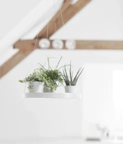 Ecopots Kunststoff-Untersetzer hängend, rund, ca. Ø36/H3 cm