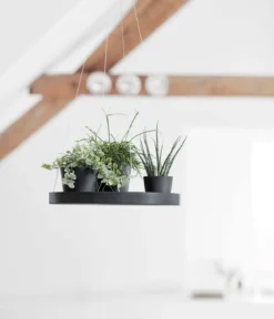 Ecopots Kunststoff-Untersetzer hängend, rund, ca. Ø36/H3 cm