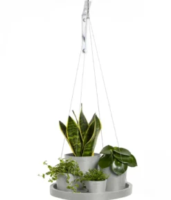 Ecopots Kunststoff-Untersetzer hängend, rund, ca. Ø36/H3 cm