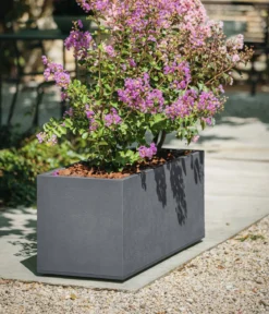 EDA Kunststoff-Pflanzkasten Basalt Up, rechteckig, anthrazit