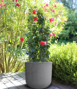 EDA Kunststoff-Topf Basalt Up, rund