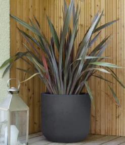 EDA Kunststoff-Topf Basalt Up, rund