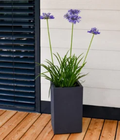EDA Kunststoff-Topf Basalt Up, quadratisch, ca. B30/H50/T30 cm