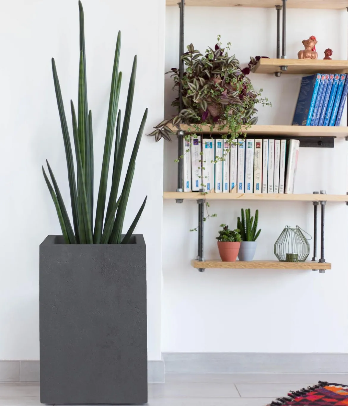 EDA Kunststoff-Topf Basalt Up, quadratisch, ca. B30/H50/T30 cm