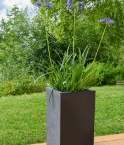 EDA Kunststoff-Topf Basalt Up, quadratisch, ca. B30/H50/T30 cm