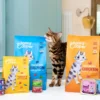 Edgard & Cooper Trockenfutter für Katzen Frischer Freilandtruthahn & Freilandhuhn Adult, 2 kg