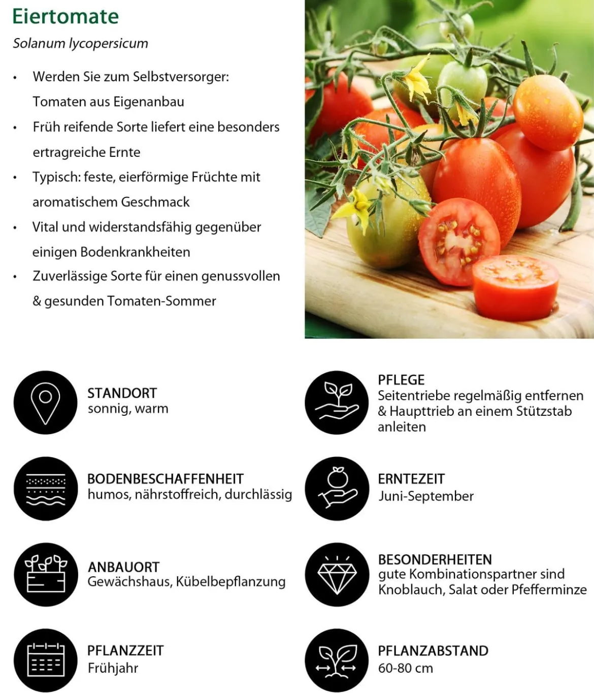 Eiertomate, rot