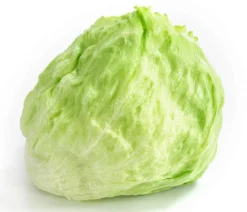 Eissalat, lausresistent, 12er Schale