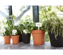 elho Green Basics Kunststoff-Untersetzer, rund, ca. Ø14/H2 cm