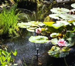 Esotec Solarpumpe Palermo LED für den Gartenteich