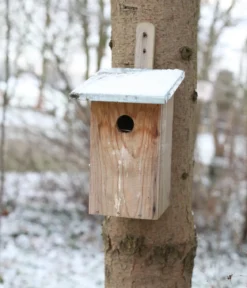 Esschert Design Beobachtungsnistkasten