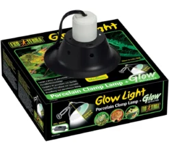 Exo Terra® Glow Light, Porzellan Klemmlampe medium