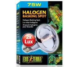 Exo Terra® Halogen Basking Spot