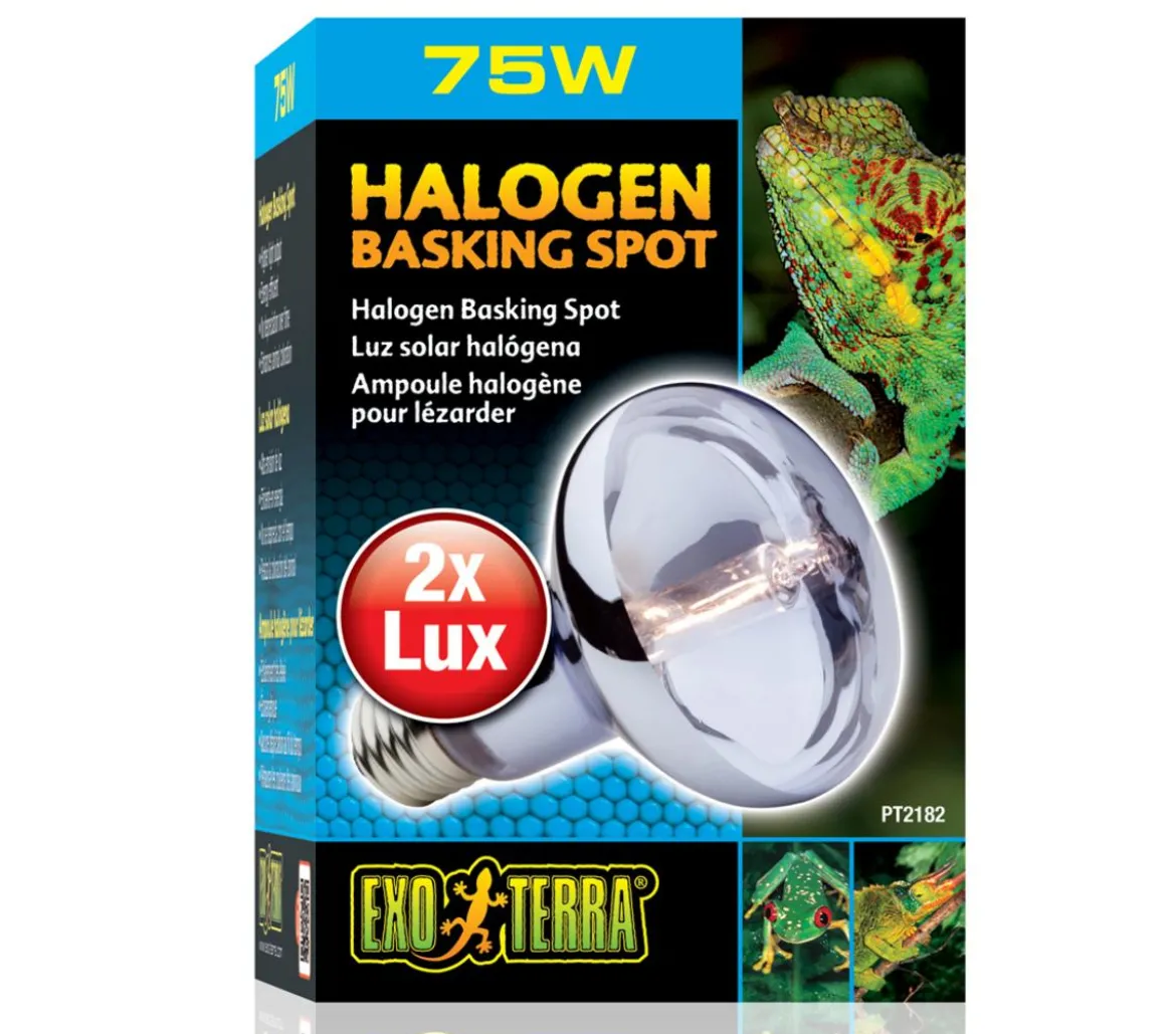 Exo Terra® Halogen Basking Spot