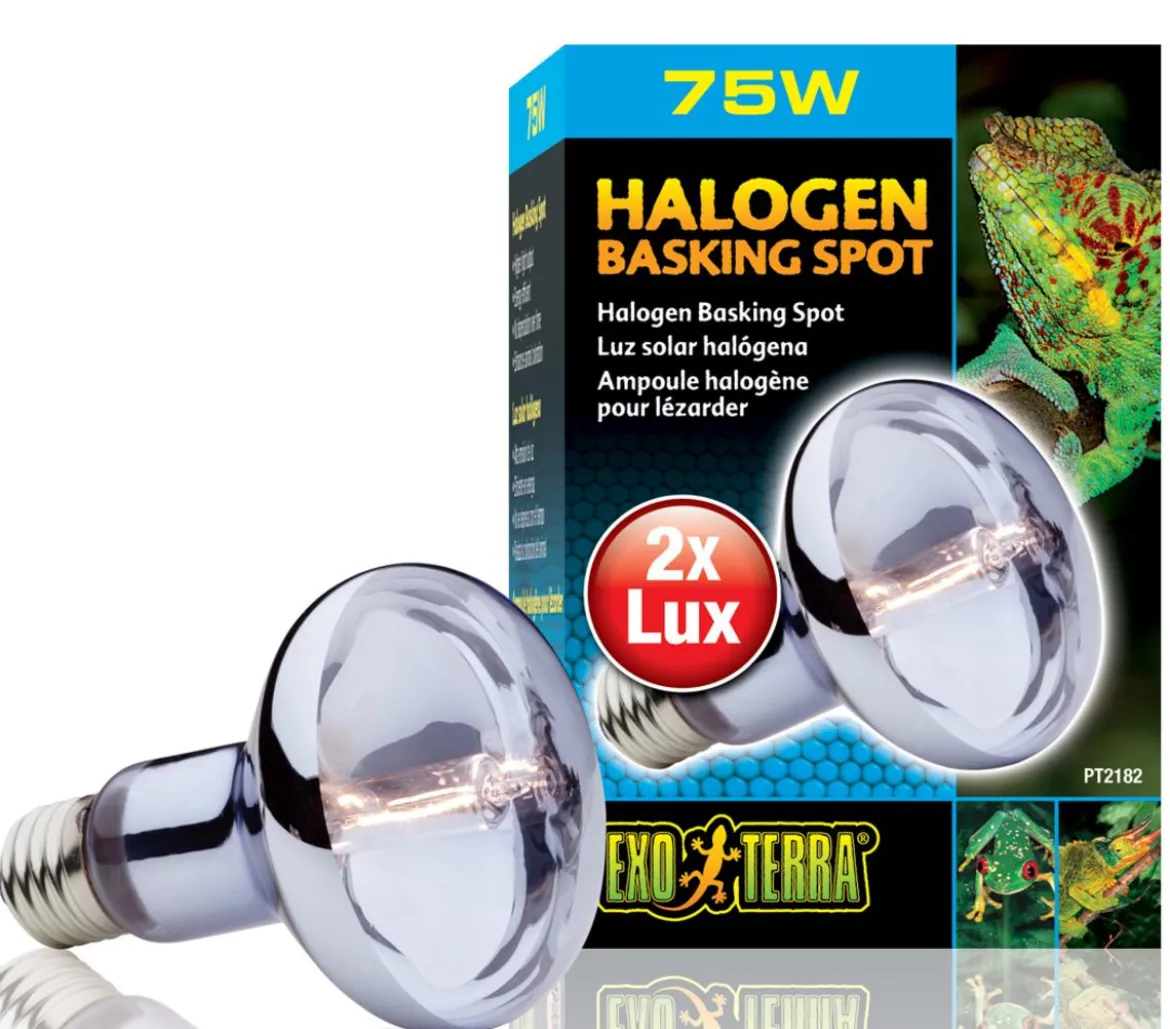 Exo Terra® Halogen Basking Spot