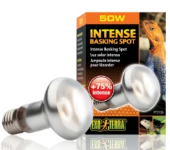 Exo Terra® Intense Basking Spot