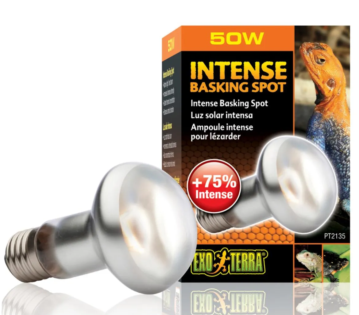 Exo Terra® Intense Basking Spot