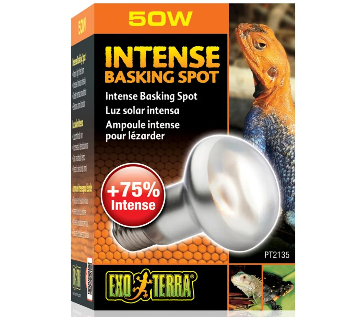 Exo Terra® Intense Basking Spot