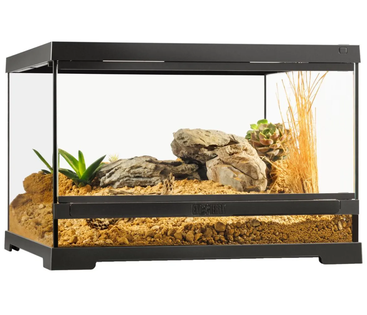 Exo Terra® Pro Terrarium, small