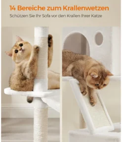 Feandrea Kratzbaum XXL, ca. B60/H206/T50 cm