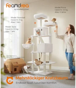 Feandrea Kratzbaum XXL, ca. B60/H206/T50 cm