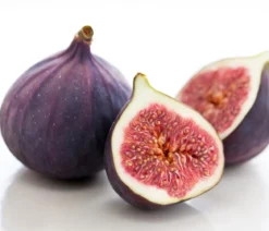 Feige 'Rouge de Bordeaux'
