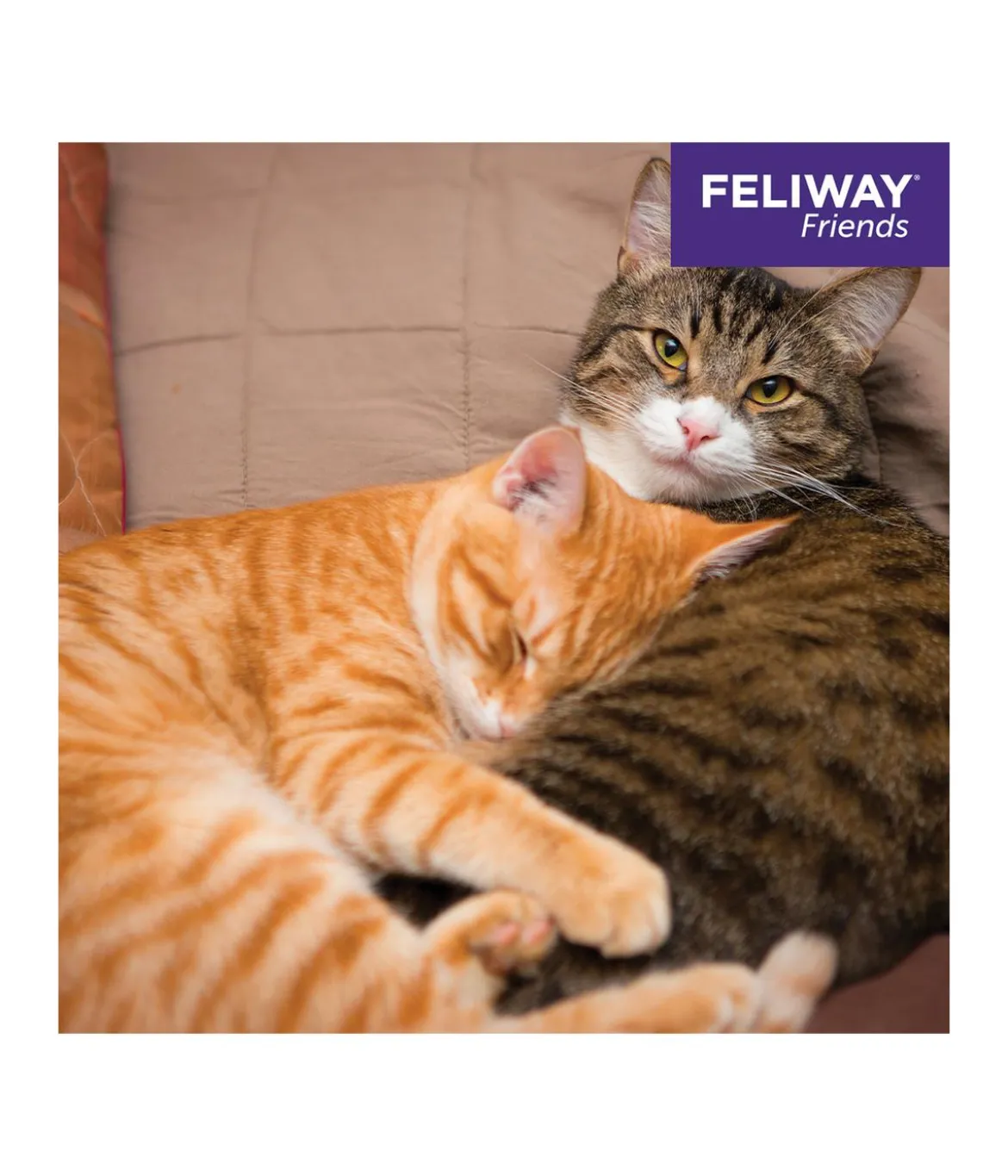 FELIWAY® Alltagshelfer Friends Nachfüllflakon