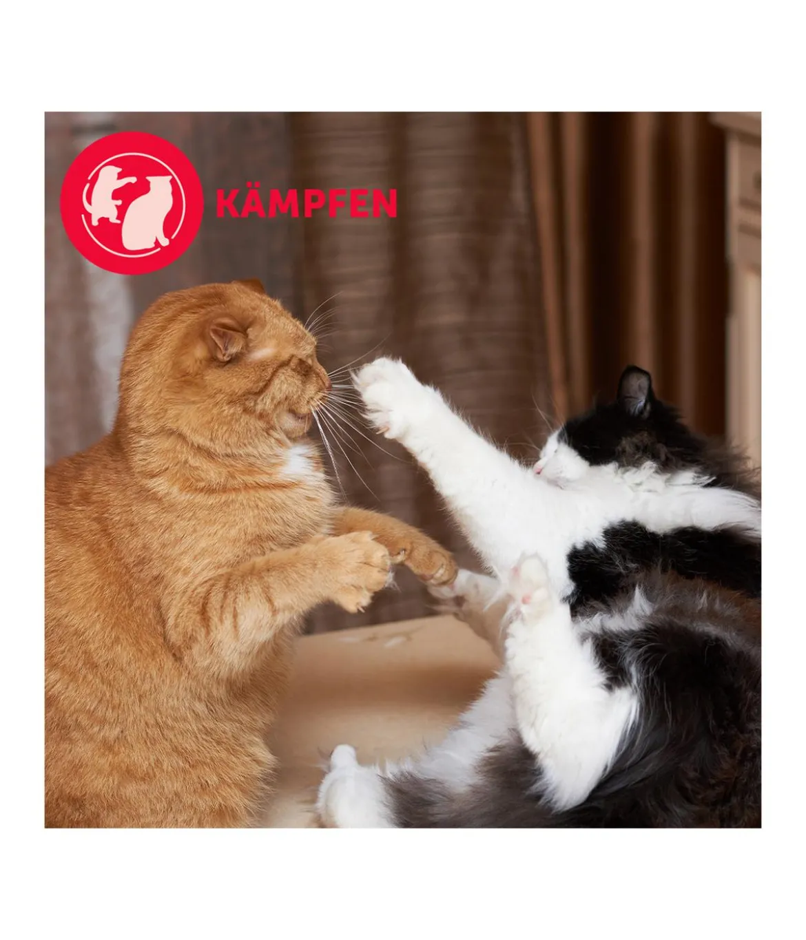 FELIWAY® Alltagshelfer Friends Nachfüllflakon