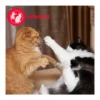 FELIWAY® Alltagshelfer Friends Start-Set