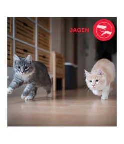FELIWAY® Alltagshelfer Friends Start-Set
