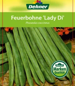 Feuerbohne
