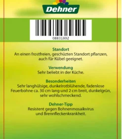 Feuerbohne